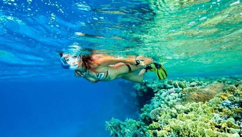 Snorkeling Trip At Port Ghalib from Marsa Alam