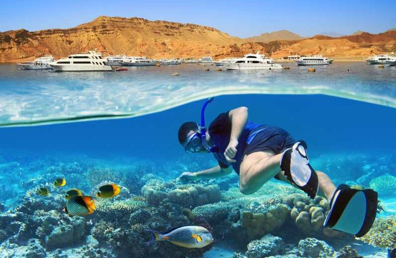 Snorkeling Trip in Sharm El Sheikh