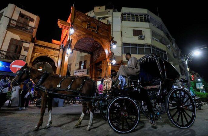 Luxor City tour by Horse Carriage