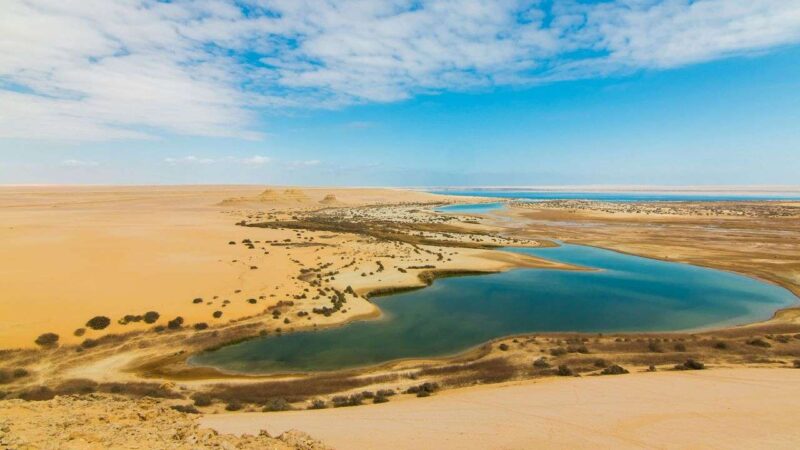 Day Tour to El Fayoum from Cairo