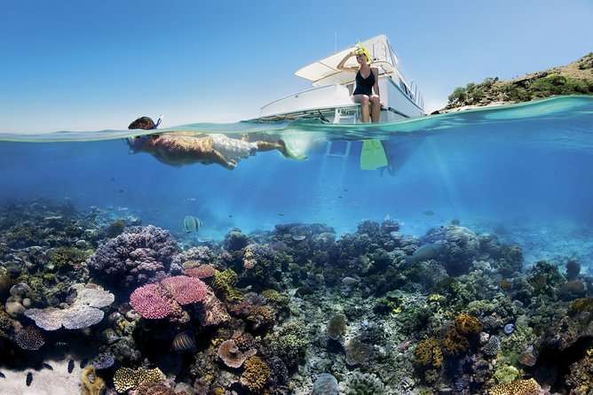 Boat Trip to Tiran Island and Ras Mohammed