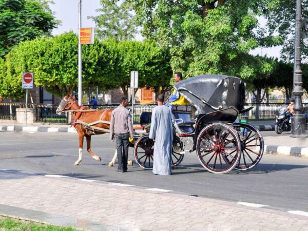 Aswan Horse Carriage Trip