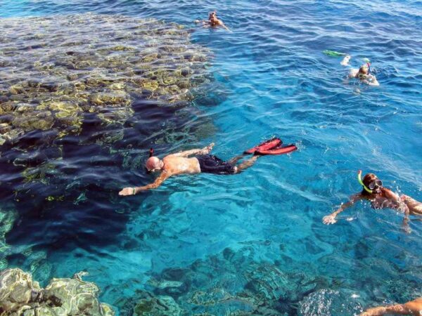 Snorkeling Trip At Port Ghalib from Marsa Alam