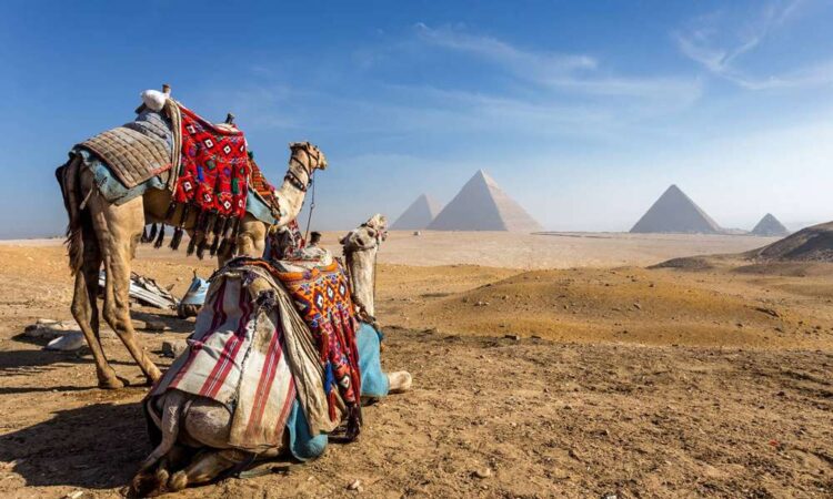 05 Days Holiday to Cairo, Luxor & Alexandria