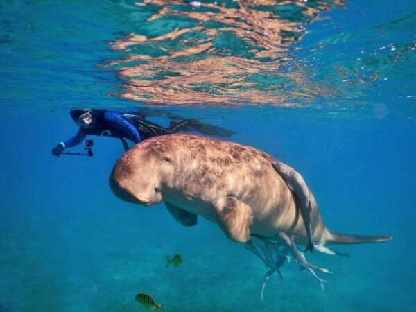 Scuba diving in Marsa Alam