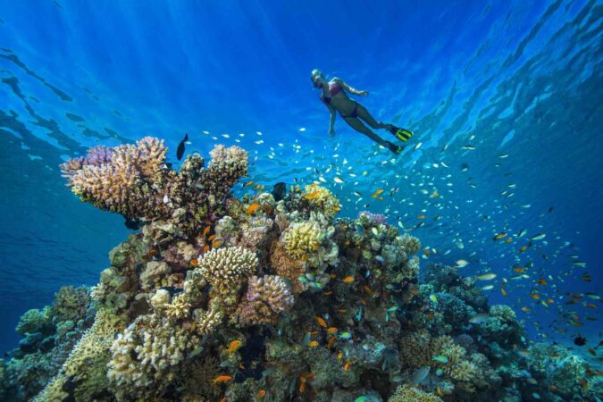 egypt-red-sea-hurghada-young-woman-snorkeling-at-coral-reef