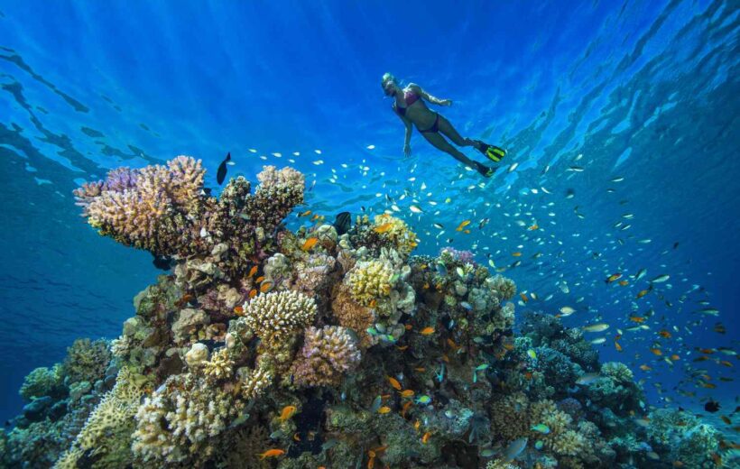 Snorkeling Trip in Hurghada