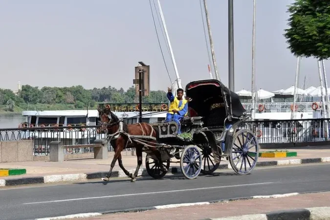 Aswan Horse Carriage Trip