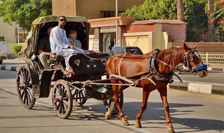 Luxor City tour by Horse Carriage