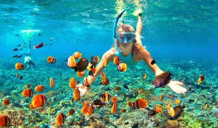 Snorkeling Trip At Port Ghalib from Marsa Alam