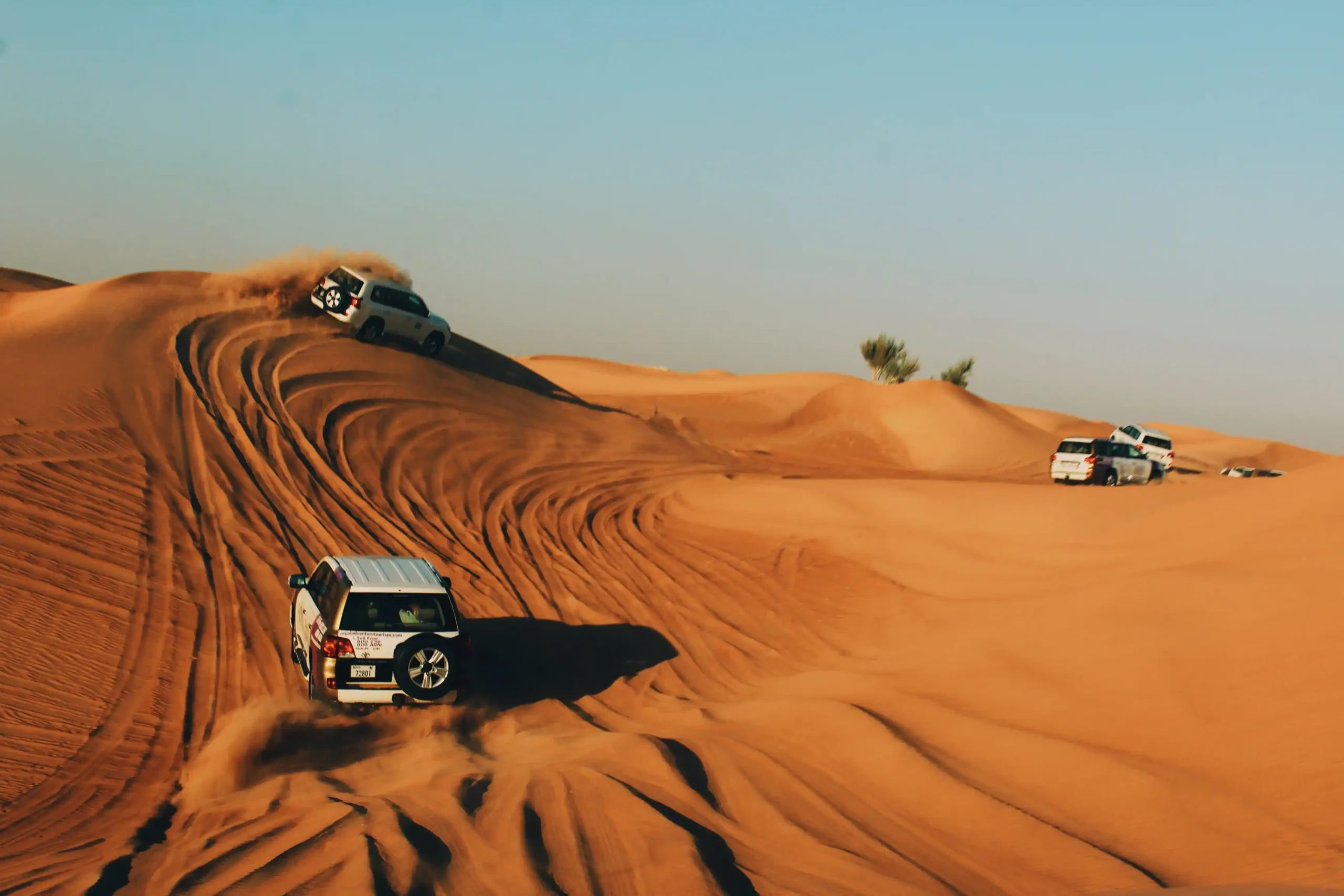 Desert Safari Tours Dubai